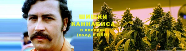 СК Балахна