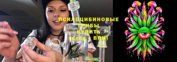 стаф Арсеньев